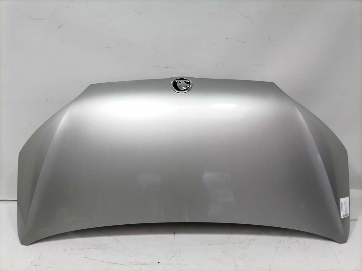 Skoda Citigo original Motorhaube LB7W Tungsten Silber Bj.2016